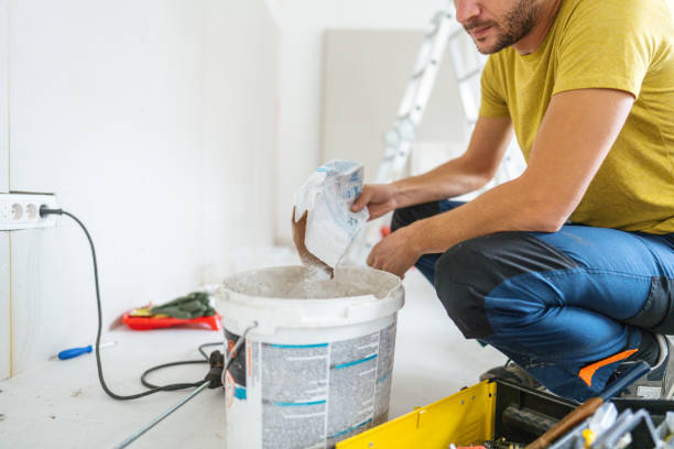 Best Basement Mold Removal  in Brewton, AL